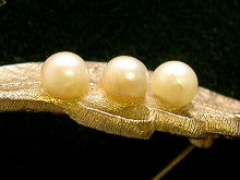 �A�N�Z�T���[,�u���[�`,�R�X�`���[���W���G���[