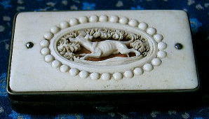 �A�N�Z�T���[,�s���P�[�X,�J���I�E�ۉ�