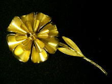 �A�N�Z�T���[,�u���[�`,�A�����J��,�S�[���h�t�����[,�R�X�`���[���W���G���[