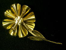 �u���[�`,�A�����J��,�S�[���h�t�����[