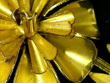 �A�N�Z�T���[,�u���[�`,�A�����J��,�S�[���h�t�����[,�R�X�`���[��