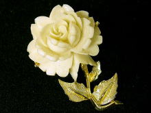 �A�N�Z�T���[,�u���[�`,�A�����J��,�o��,���[�Y,�R�X�`���[���W���G���[