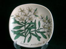 �k��,�X�J���W�i�r�A��,�`�q�`�a�h�`,EsteuTomura,�t�B�������h,�G�M