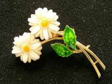 �A�N�Z�T���[,�u���[�`,�A�����J,�R�X�`���[���W���G���[,�G�i�����ԕ�