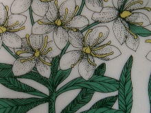 �k��,�X�J���W�i�r�A��,�`�q�`�a�h�`,EsteuTomura,�t�B�������h