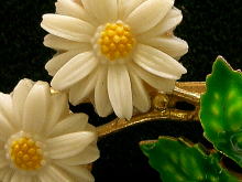 �A�N�Z�T���[,�u���[�`,�A�����J,�R�X�`���[���W���G���[