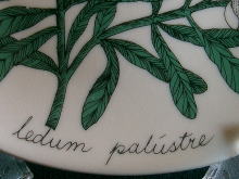 �k��,�X�J���W�i�r�A��,�`�q�`�a�h�`,EsteuTomura