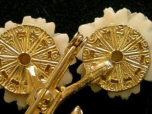 �u���[�`,�A�����J,�R�X�`���[���W���G���[