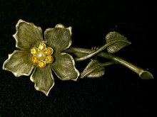 �A�N�Z�T���[,�u���[�`,�A�����J��,�t�����[,�R�X�`���[���W���G���[