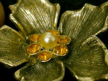 �A�N�Z�T���[,�u���[�`,�A�����J��,�t�����[,�R�X�`���[��