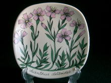 �k��,�X�J���W�i�r�A��,�`�q�`�a�h�`,�G�X�e���E�g����,�t�B�������h,�G�M