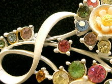 �A�N�Z�T���[,�u���[�`,�A�����J,�R�X�`���[���W���G���[,�G�i����