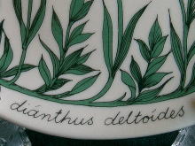 �k��,�X�J���W�i�r�A��,�`�q�`�a�h�`,�G�X�e���E�g����