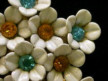 �u���[�`,CORO,�R��,�A�����J,�R�X�`���[���W���G���[