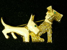 �A�N�Z�T���[,�u���[�`,�A�����J��,�X�R�b�e�B�[,��,�R�X�`���[���W���G���[