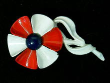 �A�N�Z�T���[,�u���[�`,�A�����J��,�t�����[,�G�i����,�R�X�`���[��