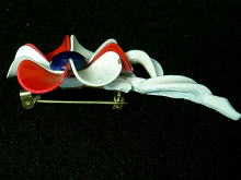 �A�N�Z�T���[,�u���[�`,�A�����J��,�t�����[,�G�i����