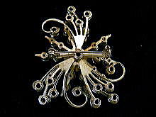 �A�N�Z�T���[,�u���[�`,�A�����J��,�R�X�`���[��