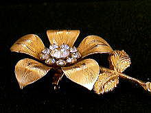 �A�N�Z�T���[,�u���[�`,�A�����J��,�R�X�`���[���W���G���[,�N���X�^��,�S�[���h