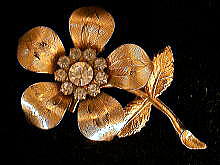 �A�N�Z�T���[,�u���[�`,�A�����J��,�R�X�`���[���W���G���[,�N���X�^��