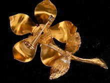 �A�N�Z�T���[,�u���[�`,�A�����J��