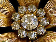 �A�N�Z�T���[,�u���[�`,�A�����J��,�R�X�`���[���W���G���[