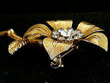 �A�N�Z�T���[,�u���[�`,�A�����J��