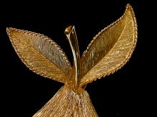 �A�N�Z�T���[,�u���[�`,�A�����J��,�R�X�`���[���W���G���[,EMMONS