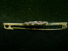 �A�N�Z�T���[,�u���[�`