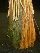 �A�N�Z�T���[,���u���V,�n�[�t�h�[��,�i�`�o�`�m