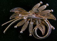 �A�N�Z�T���[,�u���[�`,Hobe