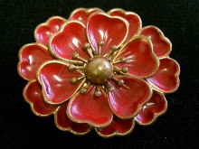 �A�N�Z�T���[,�u���[�`,�G�i����,�u���X,�t�����[