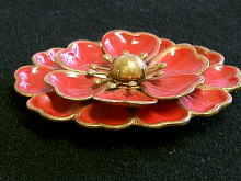 �A�N�Z�T���[,�u���[�`,�G�i����