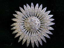 �A�N�Z�T���[,�u���[�`,�t�����[