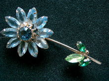 �A�N�Z�T���[,�u���[�`,WEISS,���C���X�g�[��,�R�X�`���[���W���G���[,�t�����[