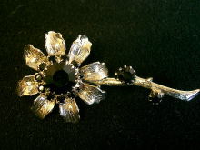 �A�N�Z�T���[,�u���[�`,�R�X�`���[���W���G���[,���C���X�g�[��,�t�����[