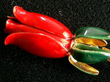 �A�N�Z�T���[,�u���[�`,SANDOR,�O���C�X�E�}�N�S�[����,�G�i����