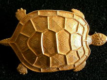 �A�N�Z�T���[,�u���[�`,�~���A���E�n�X�P��,�l�h�q�h�`�l�@�g�`�r�j�d�k�k,�T,�S�[���h