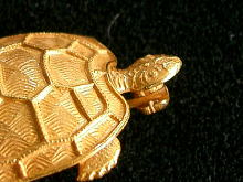 �A�N�Z�T���[,�u���[�`,�~���A���E�n�X�P��,�l�h�q�h�`�l�@�g�`�r�j�d�k�k,�T