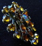 �A�N�Z�T���[,�u���[�`