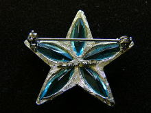 �A�N�Z�T���[,�u���[�`,�X�^�[,�r�s�`�q