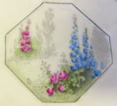 �J�b�v���\�[�T�[,�V�F���[,SHELLEY,�N�C�[���A��,�}�C�K�[�f��