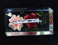 �A�N�Z�T���[,�u���[�`,�o��,�A�N����