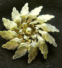 �A�N�Z�T���[,�u���[�`,�f�C�l�N���t�g,DANECRAFT,�X�^�[�����O