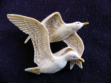 �A�N�Z�T���[,�u���[�`,�J����,��,����