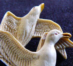 �A�N�Z�T���[,�u���[�`,�J����