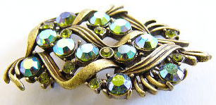 �A�N�Z�T���[,�u���[�`,���{��,�X�g�[��