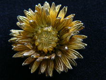 �A�N�Z�T���[,�u���[�`,�t�����[,�S�[���h