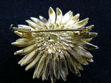 �u���[�`,�t�����[