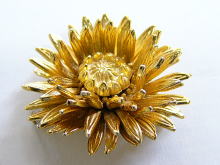 �A�N�Z�T���[,�u���[�`,�t�����[